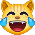 cat with tears of joy emoji on facebook messenger