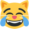 cat with tears of joy emoji on twitter (twemoji)