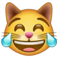 cat with tears of joy emoji on whatsapp