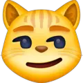 cat with wry smile emoji on facebook messenger