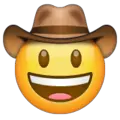 cowboy hat face emoji on whatsapp