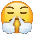 face with steam from nose emoji on whatsapp