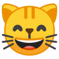 grinning cat with smiling eyes emoji on google android