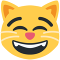 grinning cat with smiling eyes emoji on twitter (twemoji)